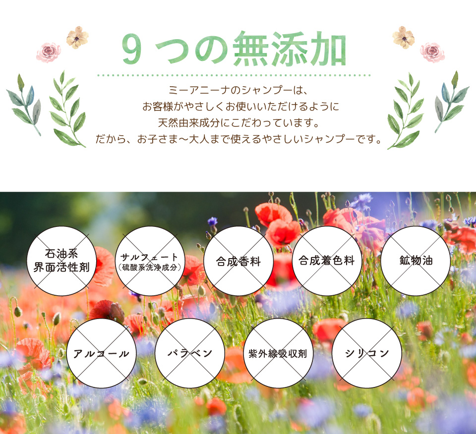 ミーアニーナ　アミノ＆フルーツ　オールインシャンプー