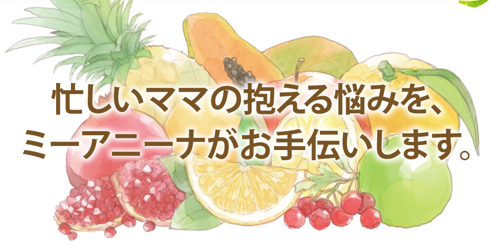ミーアニーナ　アミノ＆フルーツ　オールインシャンプー