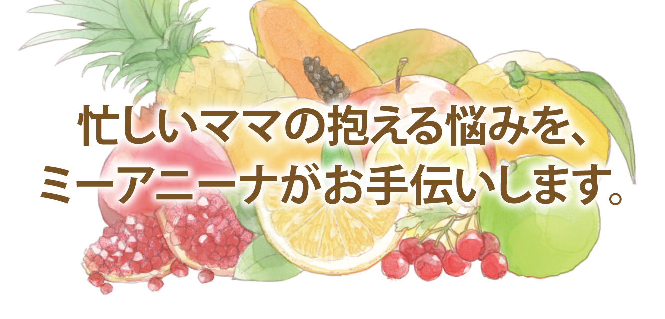 ミーアニーナ　アミノ＆フルーツ　オールインシャンプー